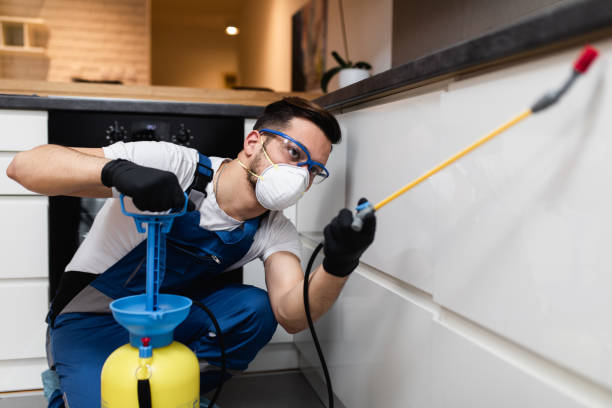 Reliable Syracuse, KS Pest Control Solutions
