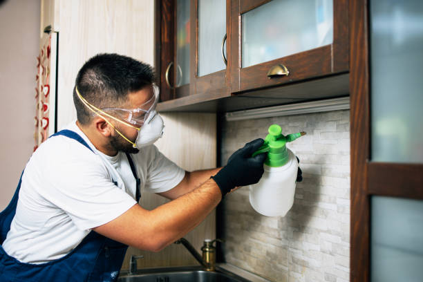 Best Affordable Pest Control Services  in Syracuse, KS