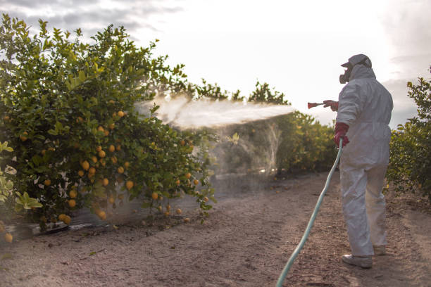 Best Rat Extermination Near Me  in Syracuse, KS