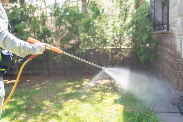 Best Ant Control Services  in Syracuse, KS