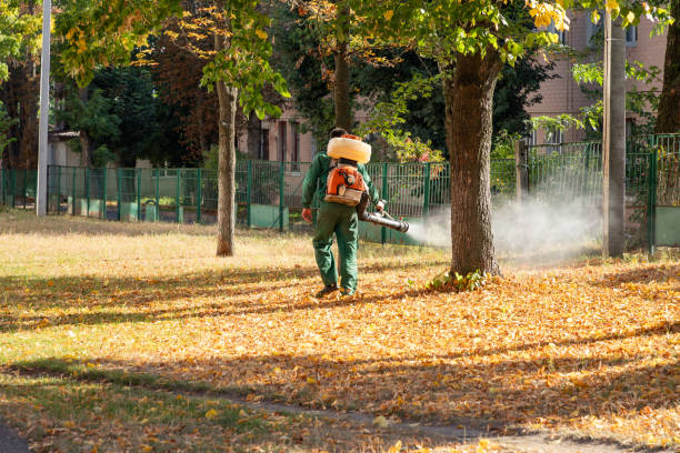 Best Pest Prevention Services  in Syracuse, KS