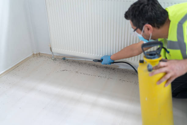 Best Best Pest Control Near Me  in Syracuse, KS